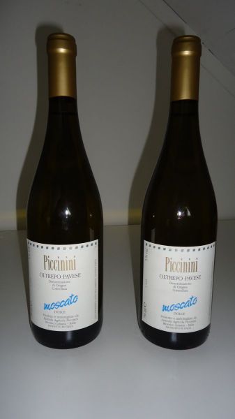 Oltrepò Pavese Moscato — Moscato DOC